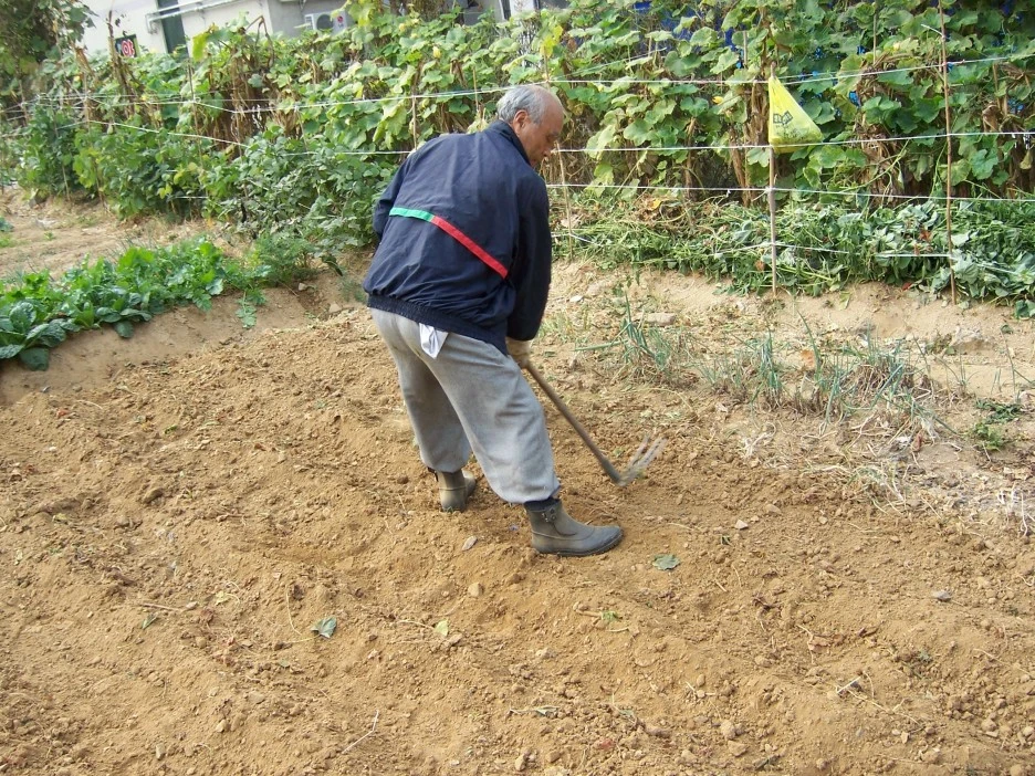 0_%EA%B0%80%EA%B0%80_%EC%8B%A0%ED%8A%B8%EB%A6%AC_%EB%B0%AD%EA%B3%A0%EB%A5%B4%EB%8A%94_%EC%95%84%EC%A0%80%EC%94%A8.jpg?type=w1