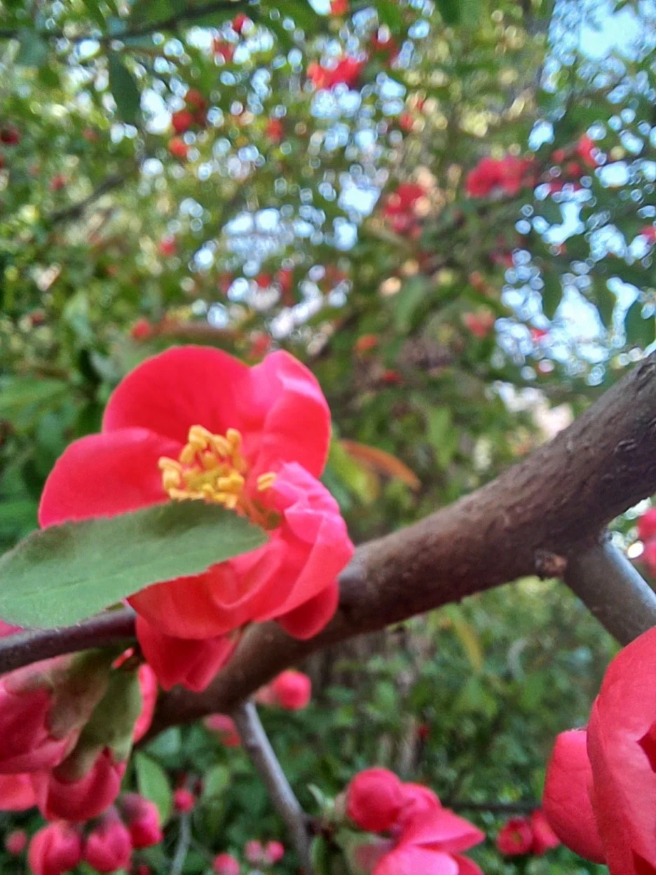 20230331_171149.jpg?type=w1