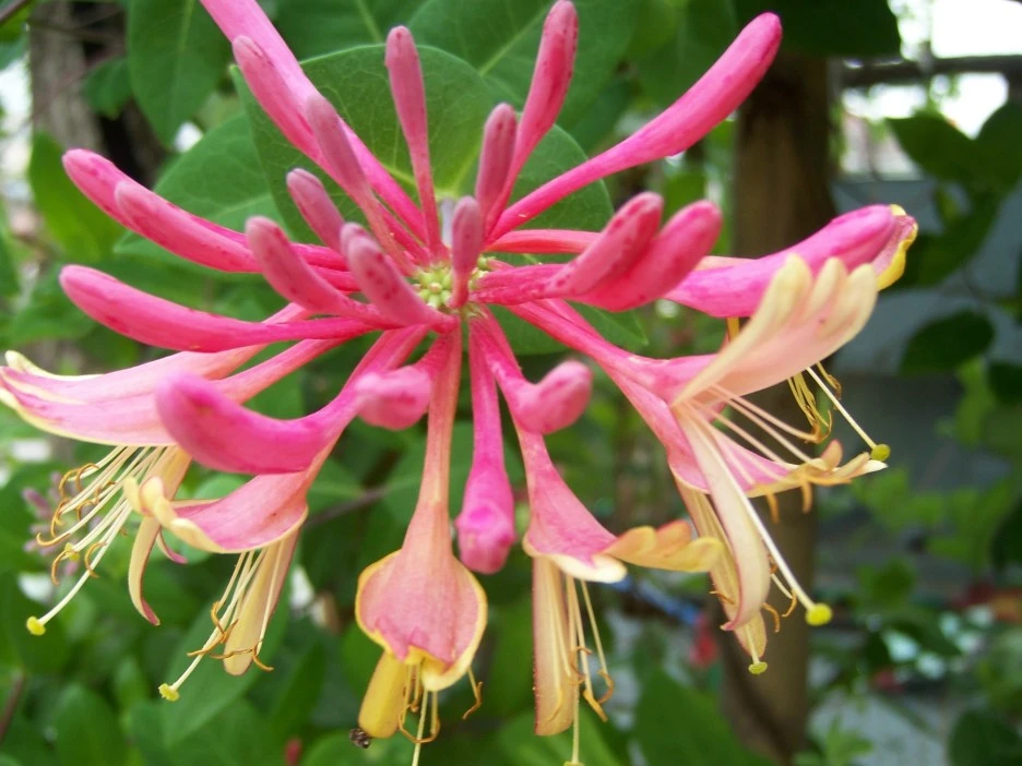 %EC%9D%B8%EB%8F%99%EC%B4%881.jpg?type=w1