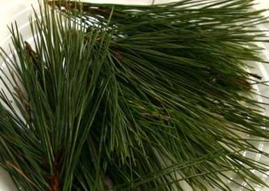 SE-0dc00ad6-cfbd-4ae1-9e61-0406e8a6cce9.jpg?typew1