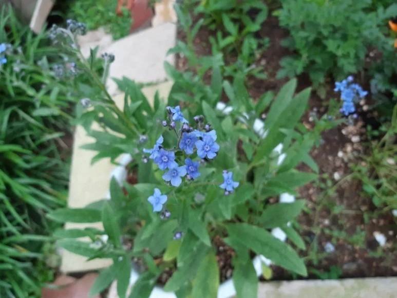 %EC%A4%91%EA%B5%AD%EB%AC%BC%EB%A7%9D%EC%B4%88.jpg?type=w1