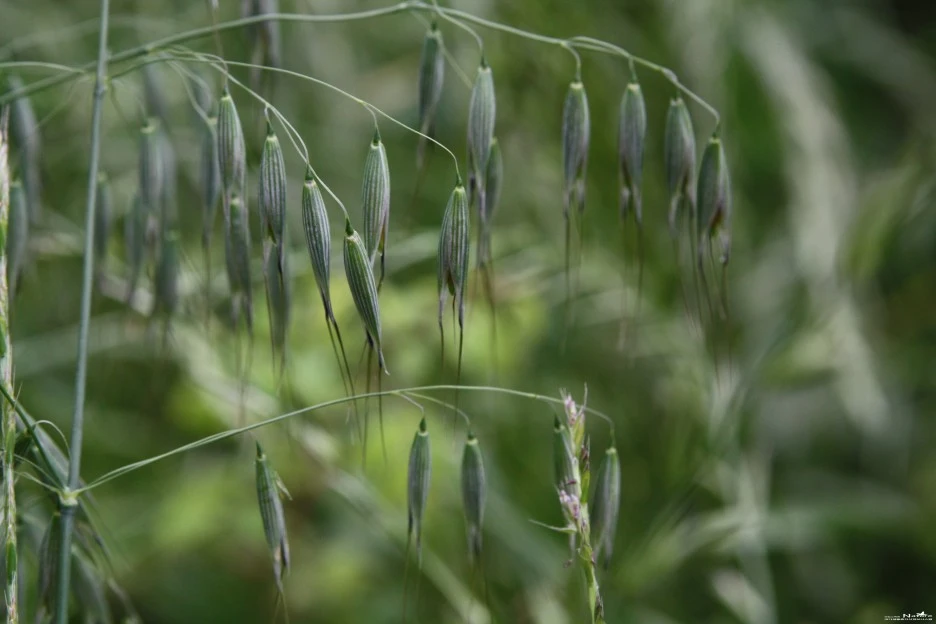 ib58_1535_i1.jpg?type=w1