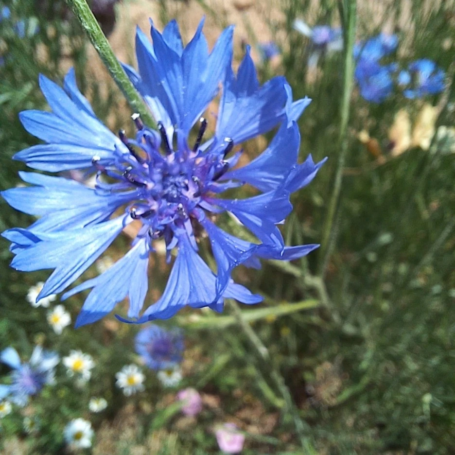 20220516_130238.jpg?type=w1