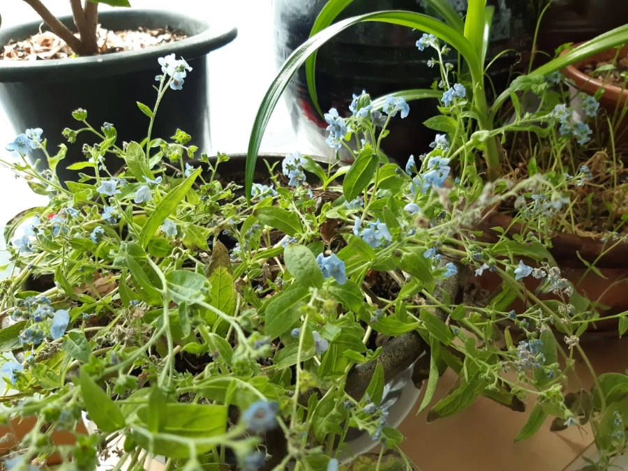 20211215%EF%BC%BF113907.jpg?type=w1