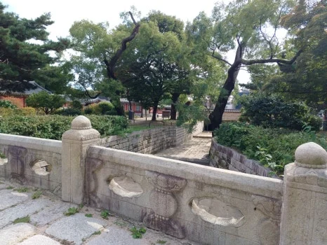 20241009_125134.jpg?type=w466