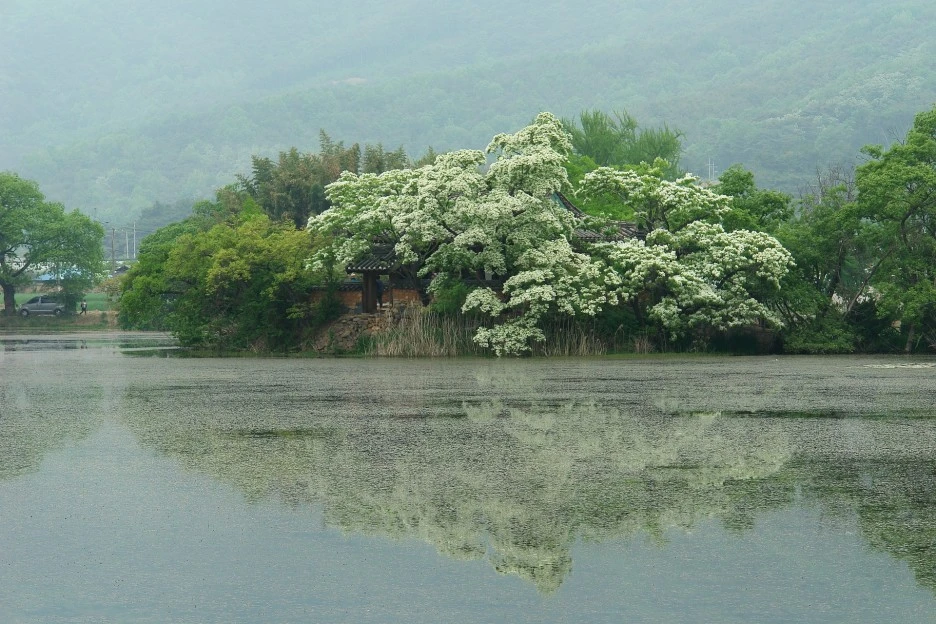 nature-3504005_1920.jpg?type=w1