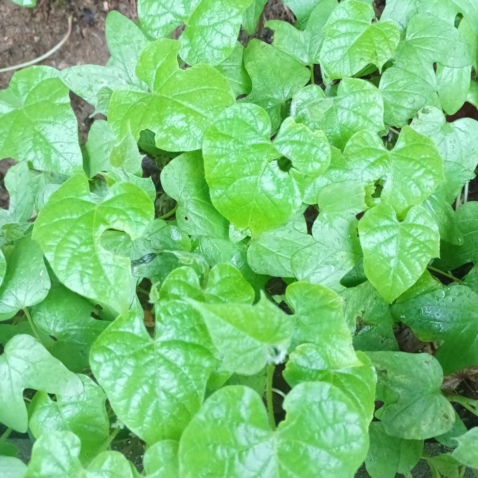 20220630_145955.jpg?type=w1