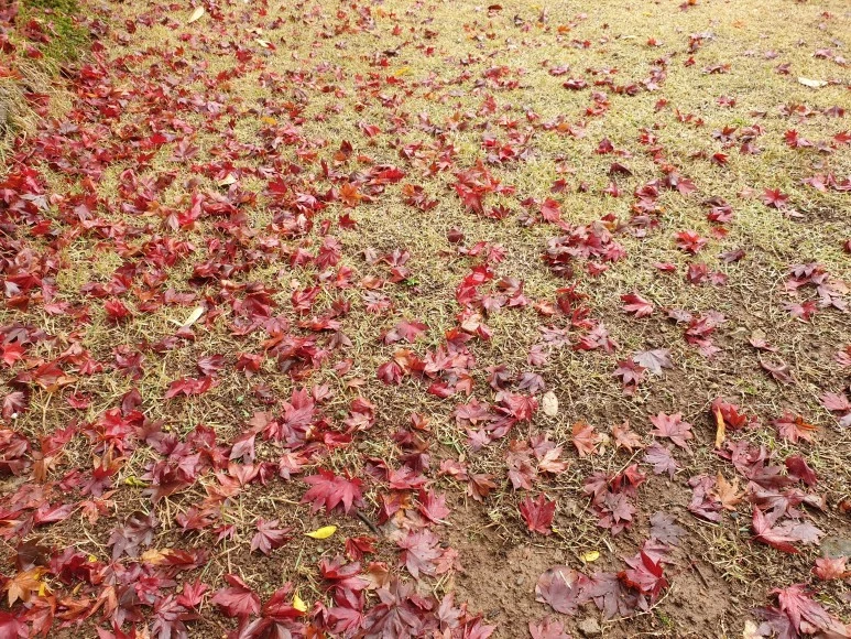 20221129_105348.jpg?typew1