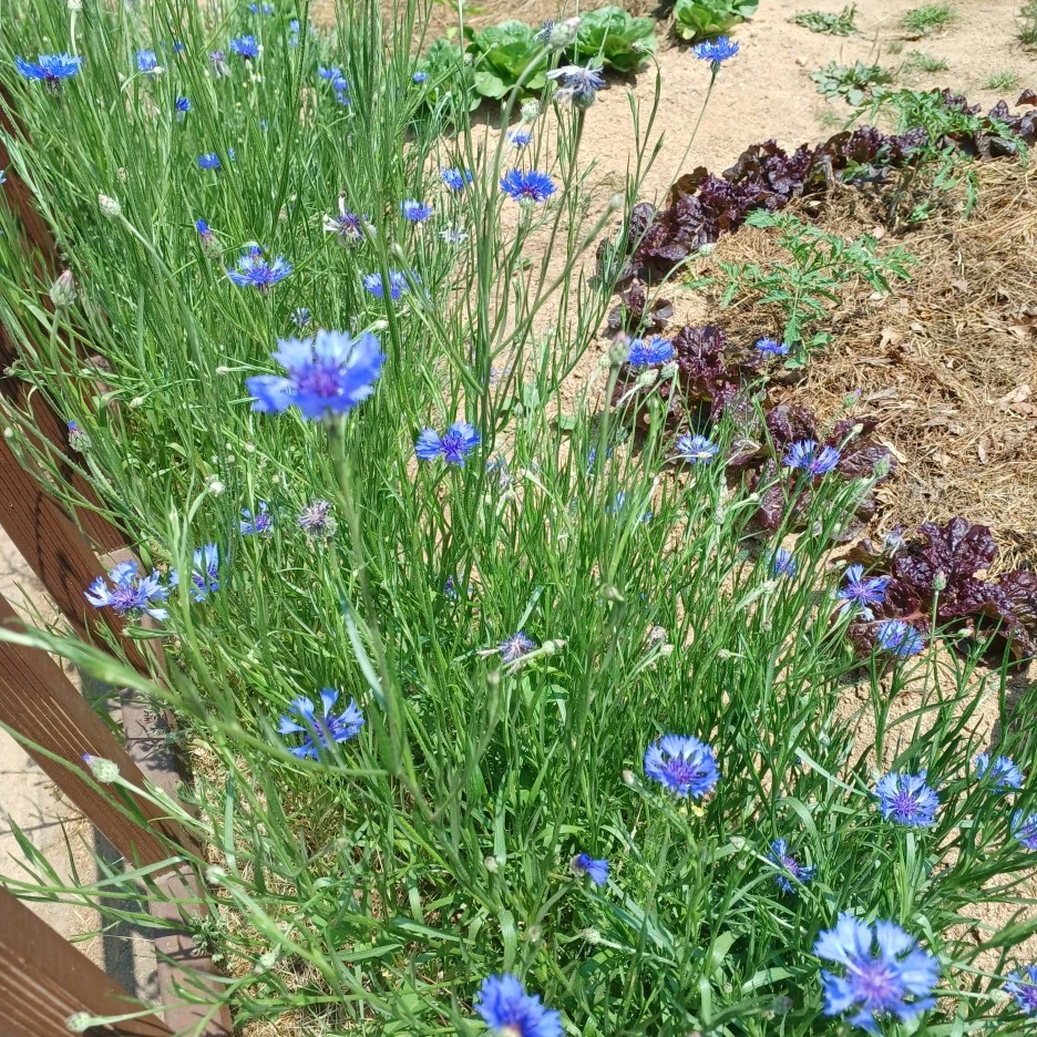 20220516_130217.jpg?type=w1