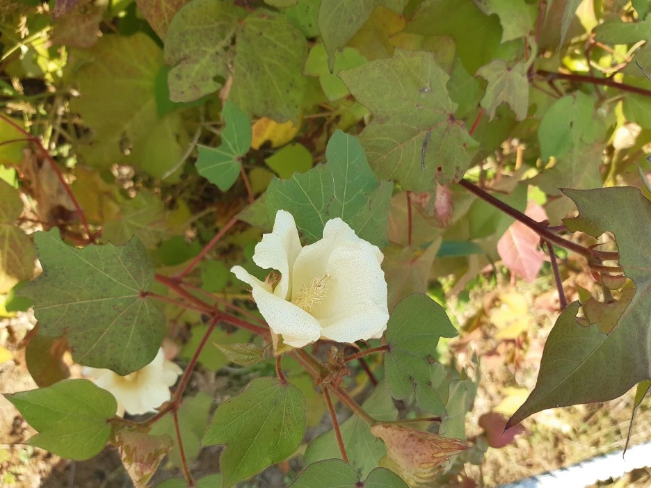 20211023_140333.jpg?type=w1