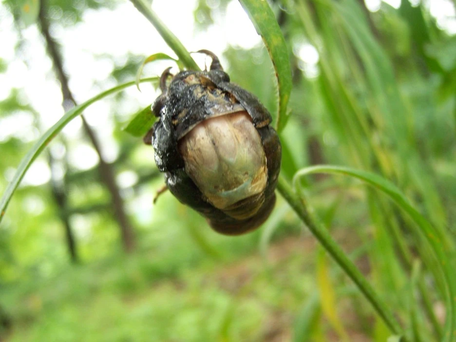 %EB%A7%A4%EB%AF%B8%ED%83%88%EB%B0%946.jpg?type=w1