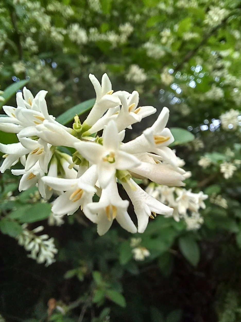 20230520_064122.jpg?type=w1