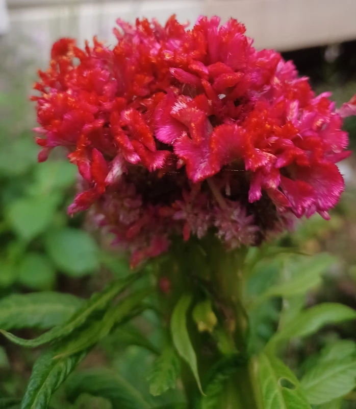 SE-12b57193-317c-11ed-9946-f1147da13266.jpg?type=w1