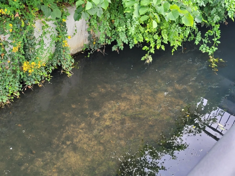 20220716%EF%BC%BF142610.jpg?typew1