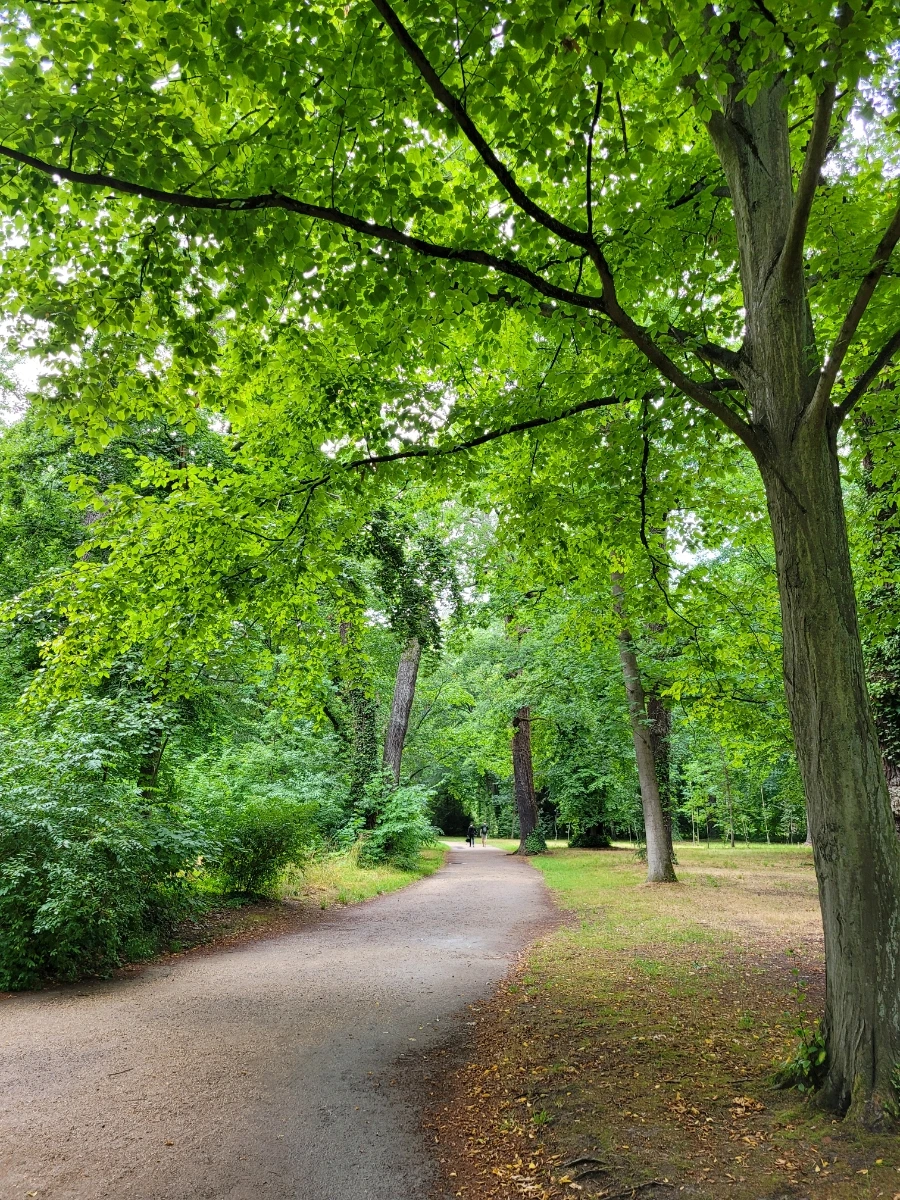 20220709%EF%BC%BF170621.jpg?typew1