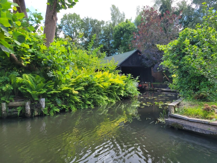 20220716%EF%BC%BF151811.jpg?typew1