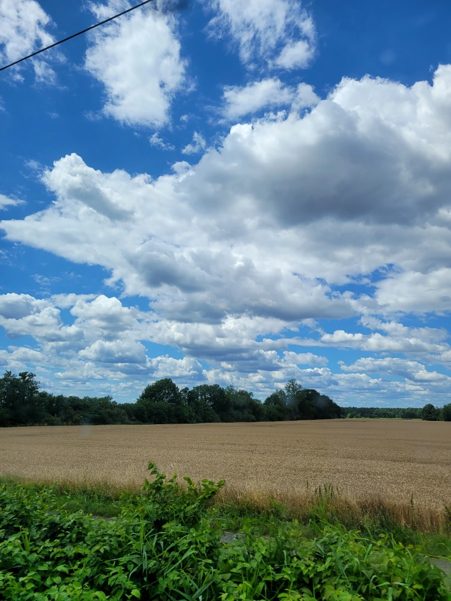 20220711%EF%BC%BF132447.jpg?type=w1