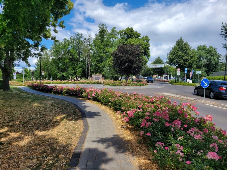 20220716%EF%BC%BF135020.jpg?typew1