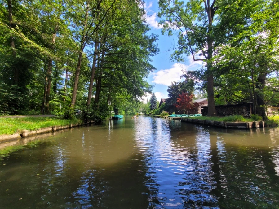 20220716%EF%BC%BF150947.jpg?typew1