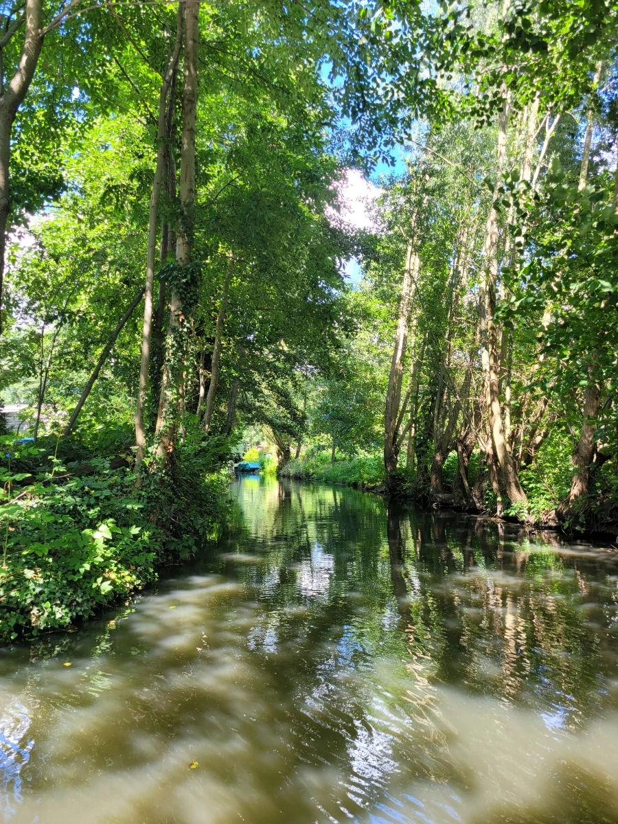 20220716%EF%BC%BF150536.jpg?typew1