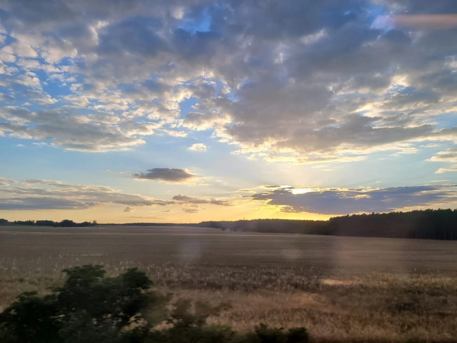 20220711%EF%BC%BF203443.jpg?typew1