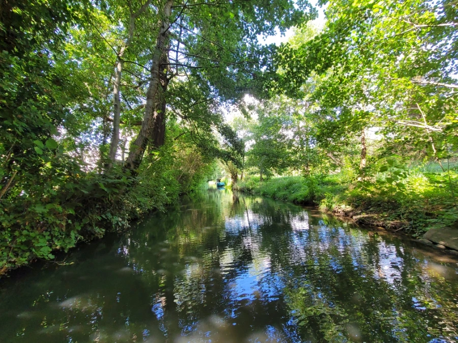 20220716%EF%BC%BF150610.jpg?typew1