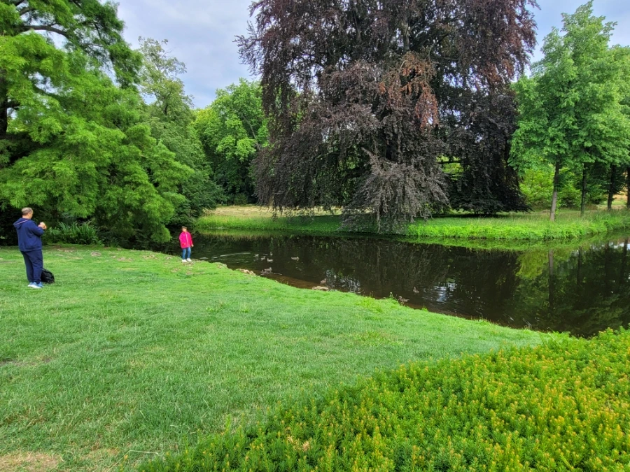 20220709%EF%BC%BF172914.jpg?type=w1