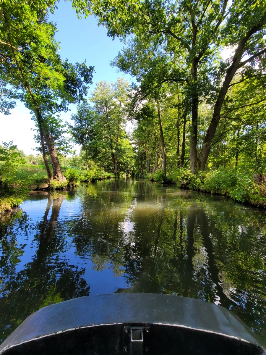 20220716%EF%BC%BF152858.jpg?typew1