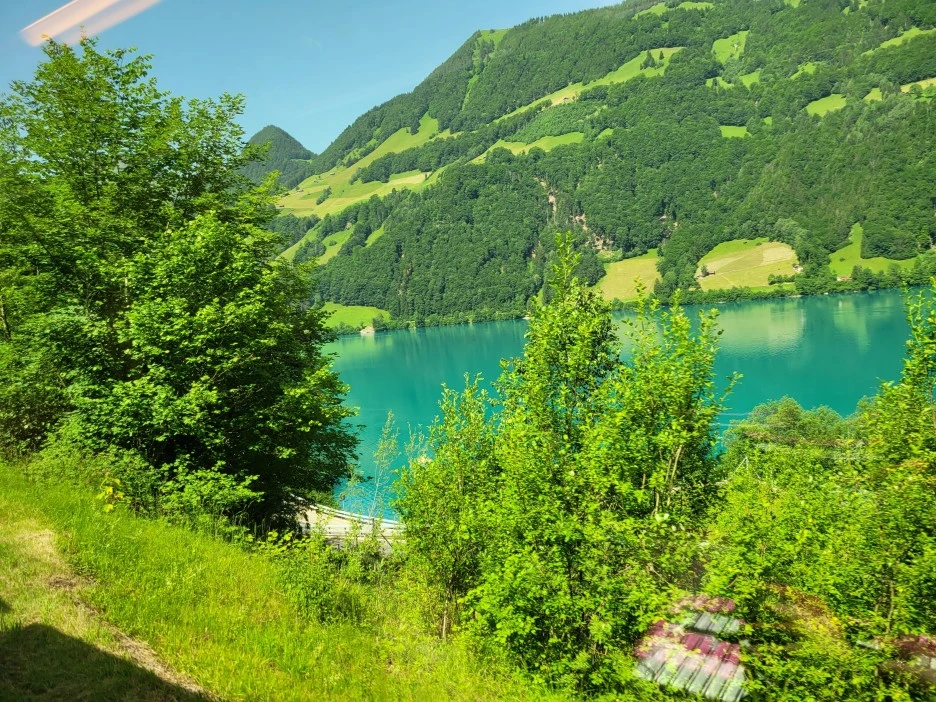 20220618_110716.jpg?type=w1