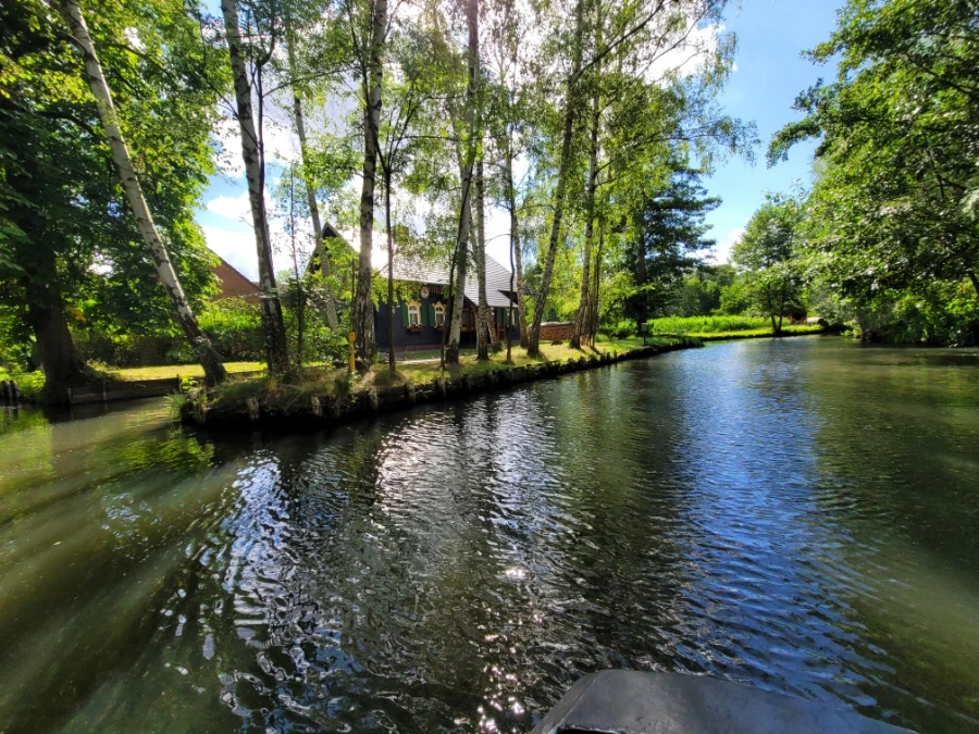 20220716%EF%BC%BF160700.jpg?typew1