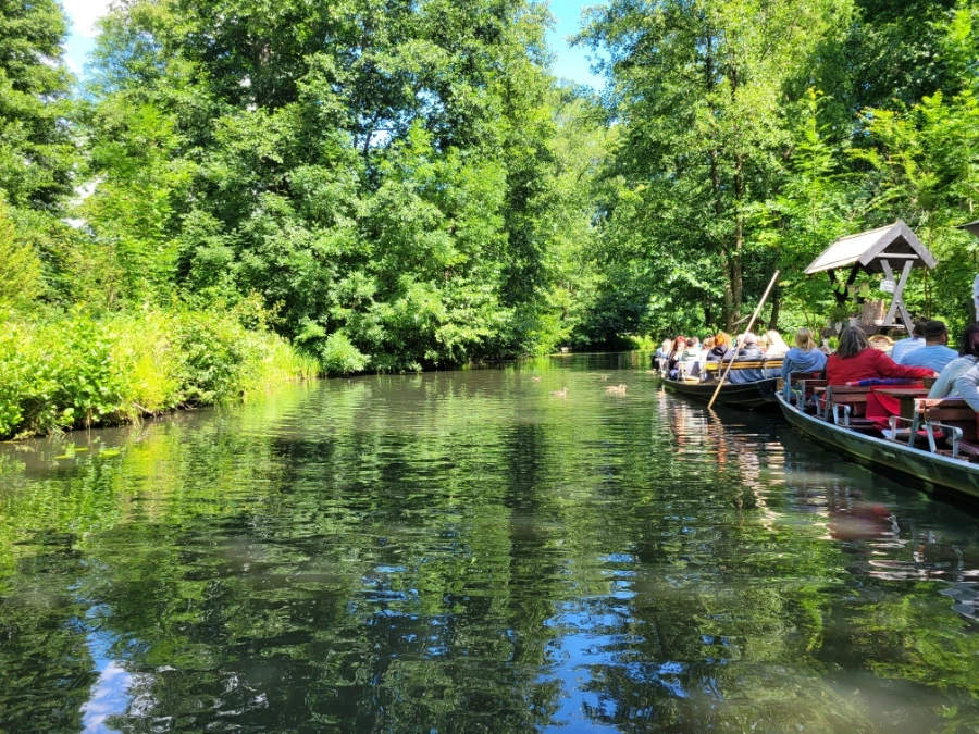 20220716%EF%BC%BF152008.jpg?typew1