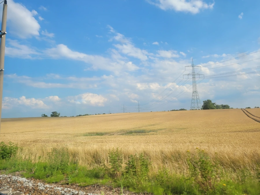 20220713%EF%BC%BF171803.jpg?typew1