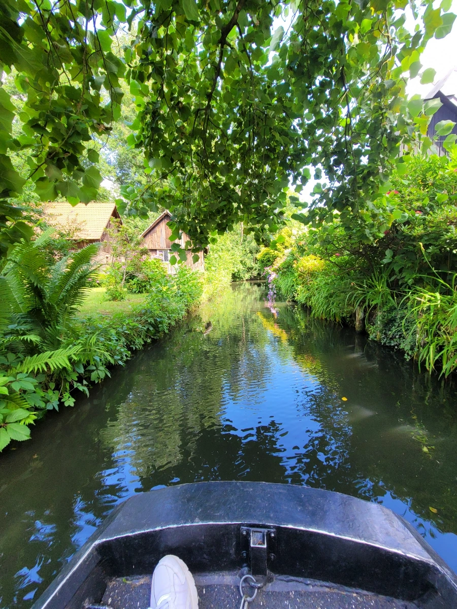 20220716%EF%BC%BF151824.jpg?typew1