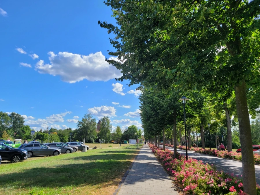 20220716%EF%BC%BF164049.jpg?typew1