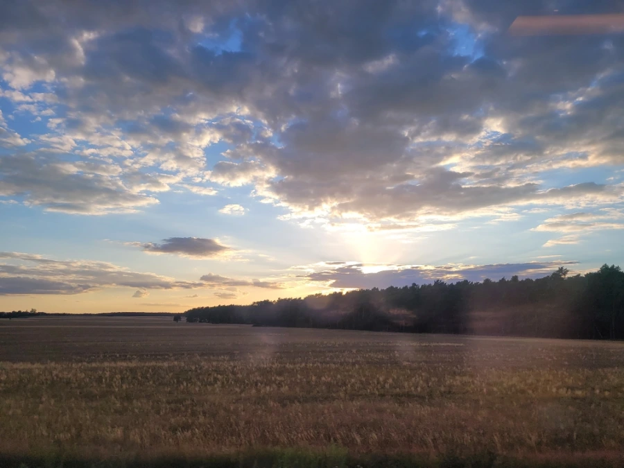 20220711%EF%BC%BF203449.jpg?typew1