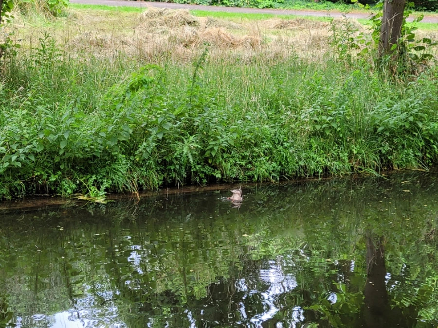 20220709%EF%BC%BF172750.jpg?type=w1