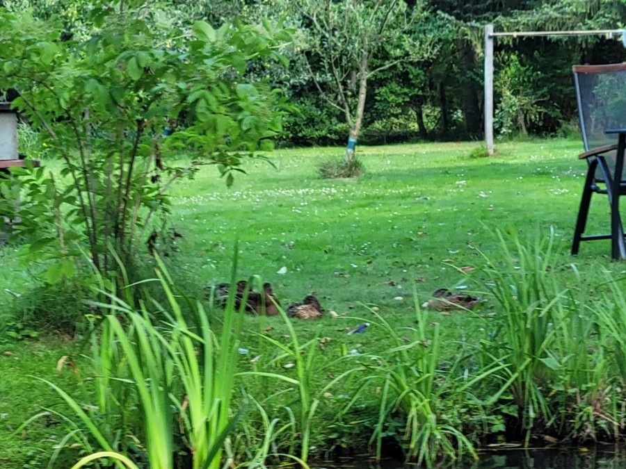 20220716%EF%BC%BF151451.jpg?type=w1