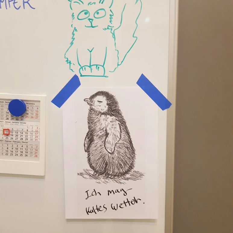 IMG_20210211_193631_584.jpg?type=w773