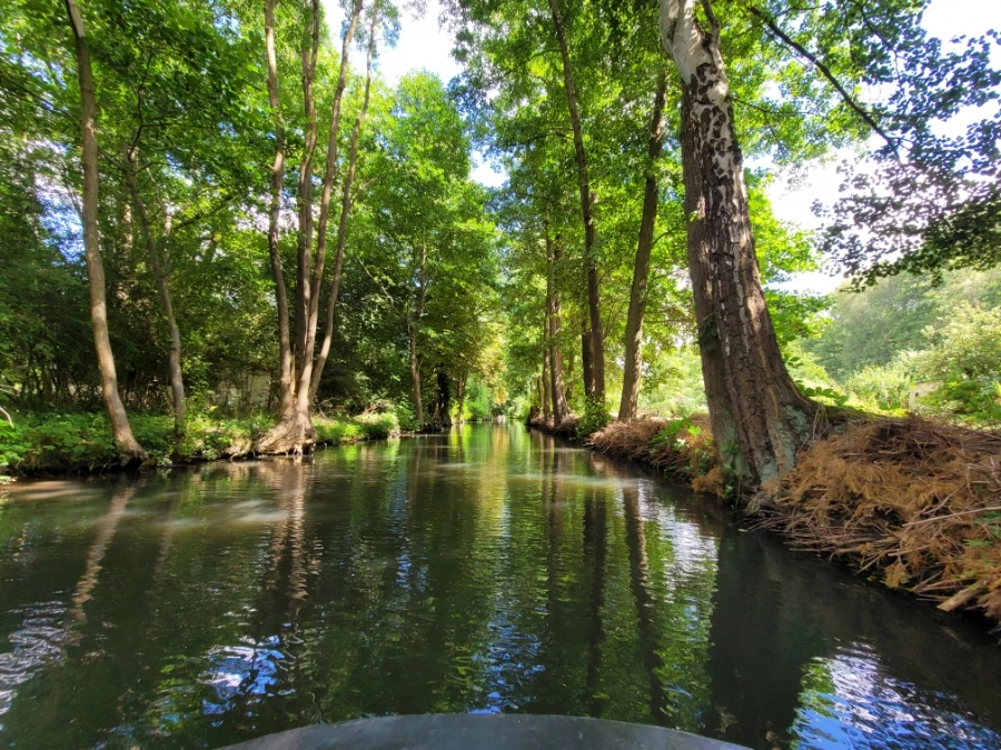 20220716%EF%BC%BF153219.jpg?typew1