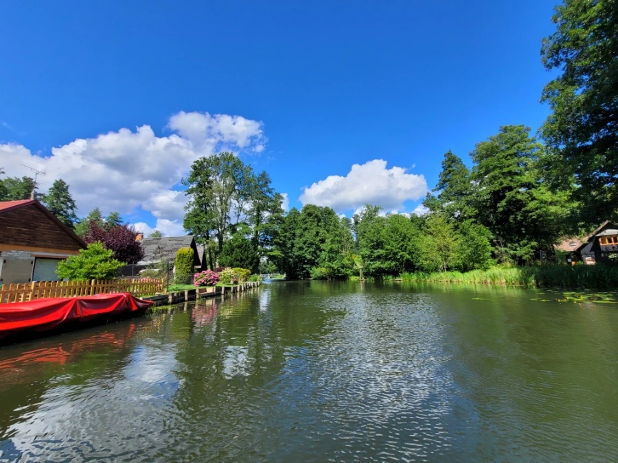 20220716%EF%BC%BF151305.jpg?typew1