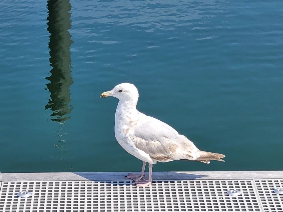 20220713%EF%BC%BF141954.jpg?typew1