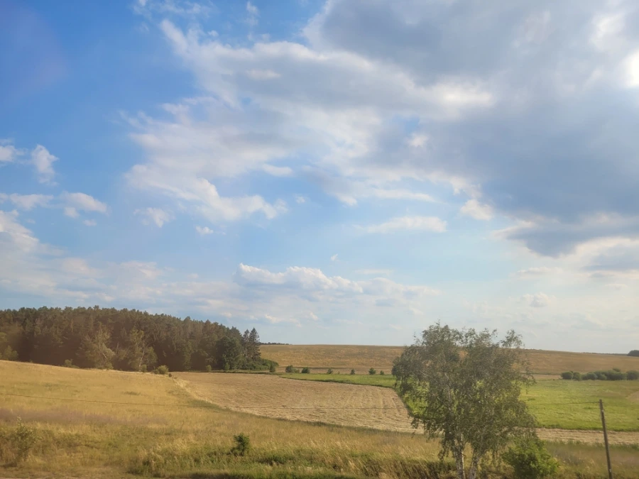 20220713%EF%BC%BF174237.jpg?type=w1