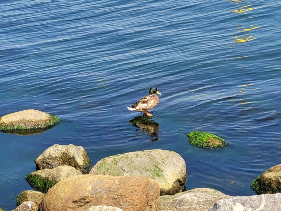 20220713%EF%BC%BF142148.jpg?type=w1