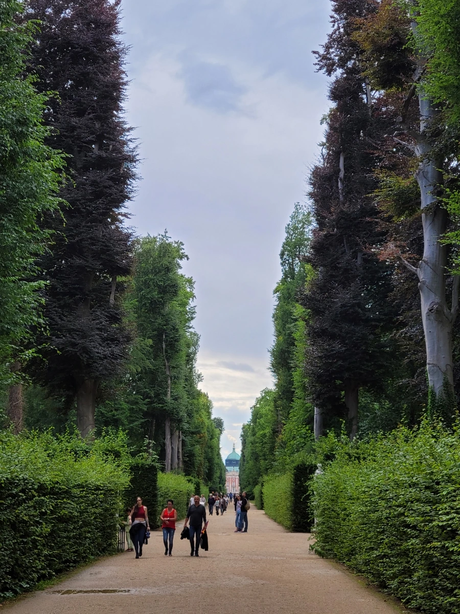 20220709%EF%BC%BF170205.jpg?typew1