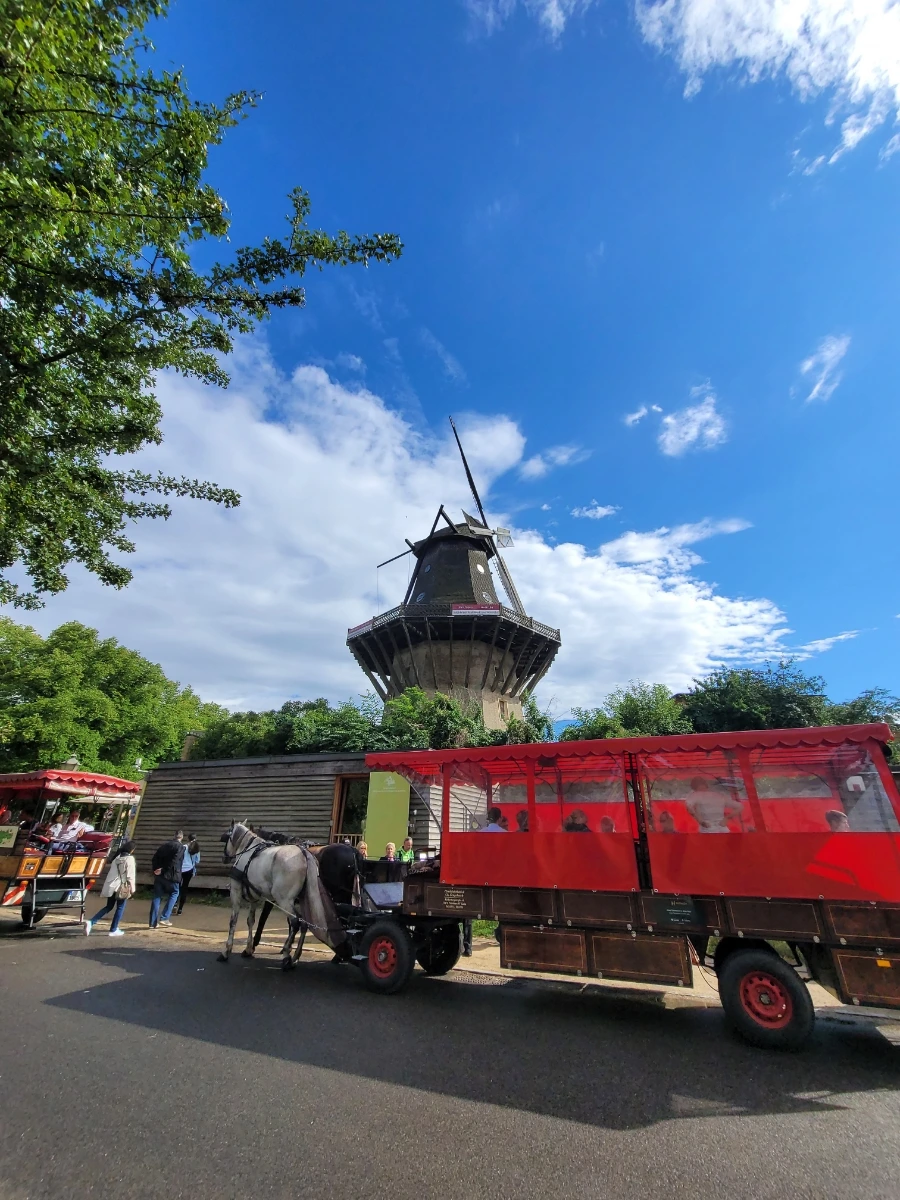 20220709%EF%BC%BF164436.jpg?type=w1