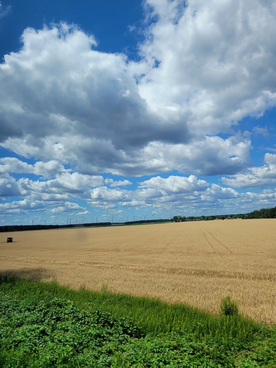 20220711%EF%BC%BF133517.jpg?typew1