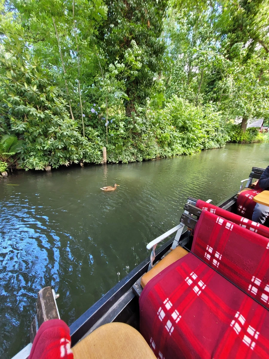 20220716%EF%BC%BF145242.jpg?typew1