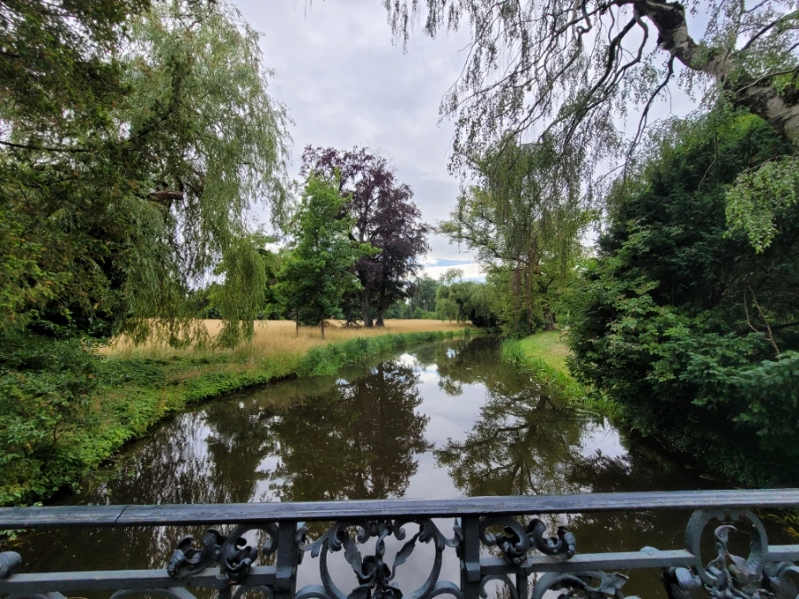 20220709%EF%BC%BF171451.jpg?typew1