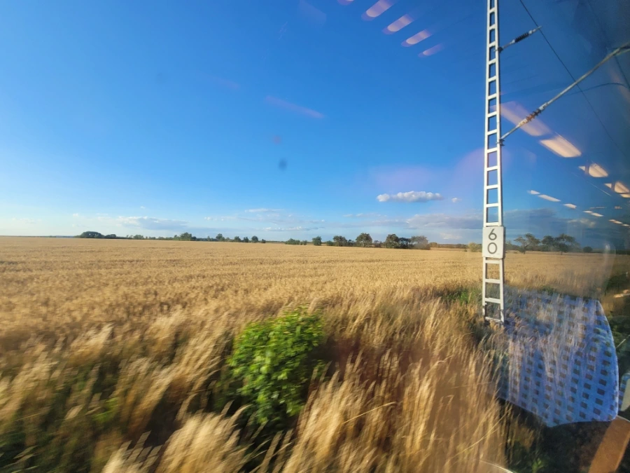 20220711%EF%BC%BF194329.jpg?typew1