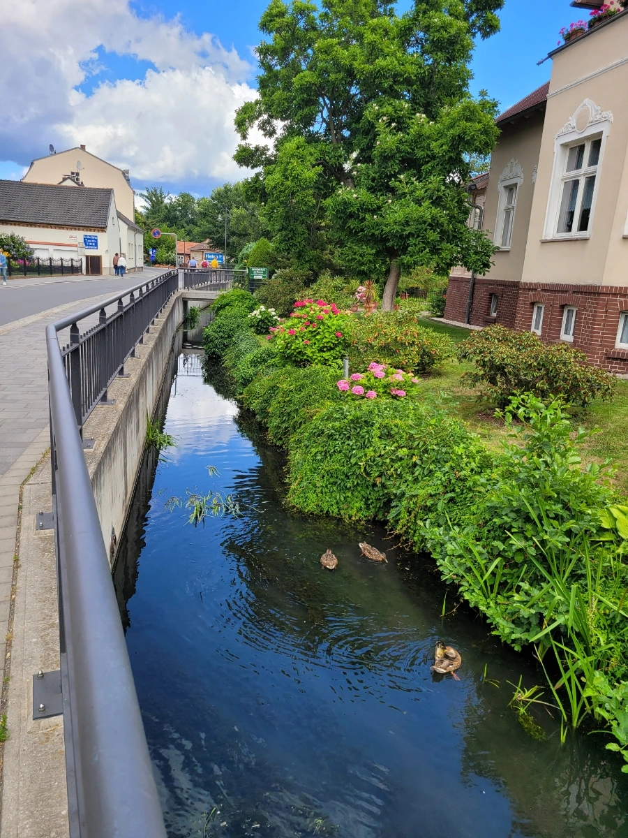 20220716%EF%BC%BF142703.jpg?typew1